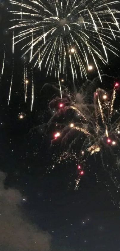 Stunning fireworks display lighting up night sky.