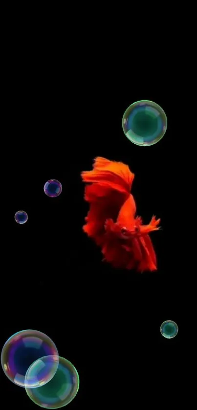 Vibrant orange fish with bubbles on black background.