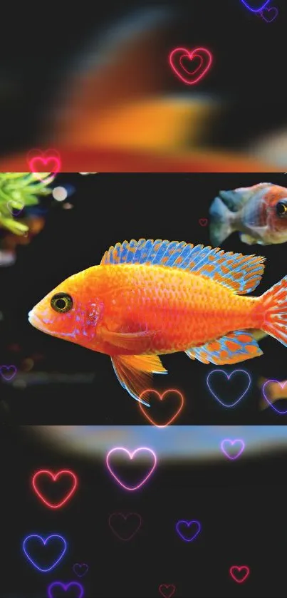 Orange fish with neon heart lights mobile wallpaper.