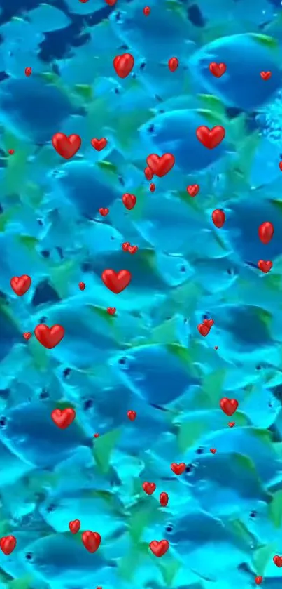 Blue fish with red hearts wallpaper background.