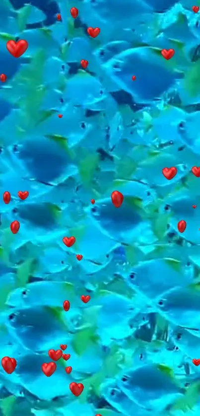 Vibrant blue fish and red hearts wallpaper.