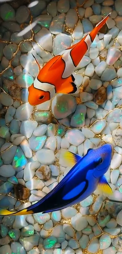 Colorful fish swim gracefully over marble stones.