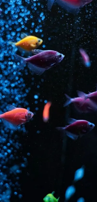 Colorful fish swim in a vibrant aquarium backdrop.