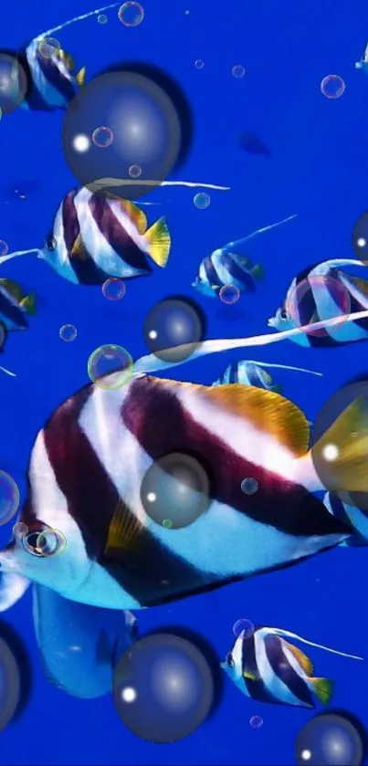 Colorful tropical fish swimming in a vibrant, deep blue ocean.