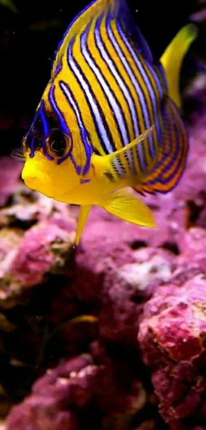 Bright fish swimming through colorful coral reef scene.