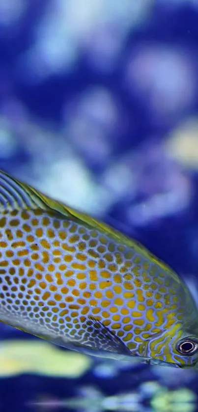 Vibrant fish in blue ocean background.
