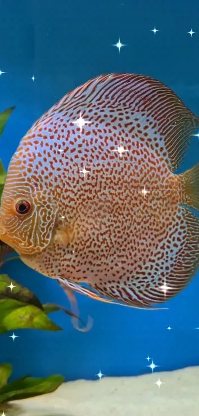 A vibrant discus fish in a blue aquatic setting with plants and sparkles.