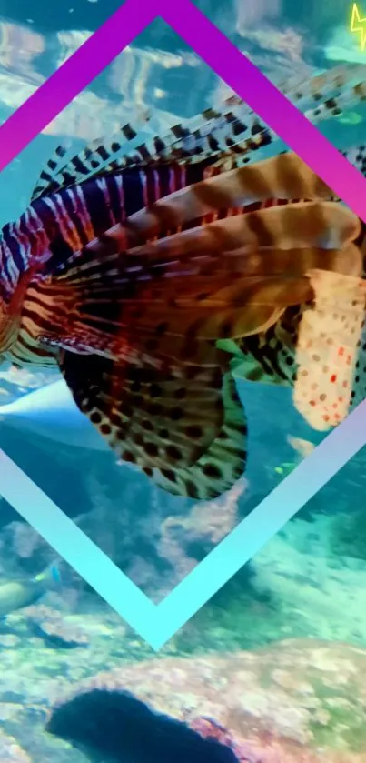 Colorful fish inside a geometric frame in an underwater setting.