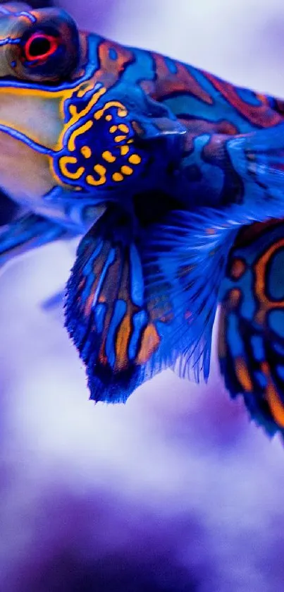 A vibrant and colorful fish in a stunning underwater setting.