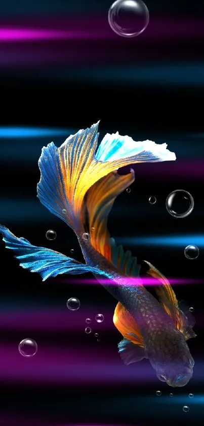 Vibrant fish with colorful fins on a black background and bubbles.