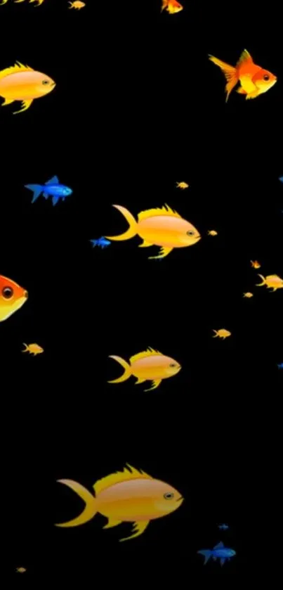 Colorful fish swimming on a black background, perfect for mobile wallpaper.