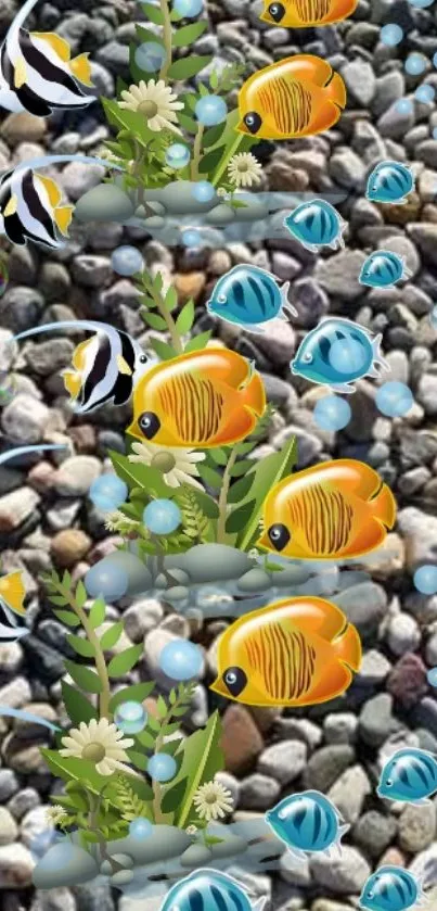 Colorful fish swim over a pebble background.