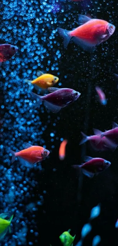 Colorful fish swimming in a blue underwater scene mobile wallpaper.