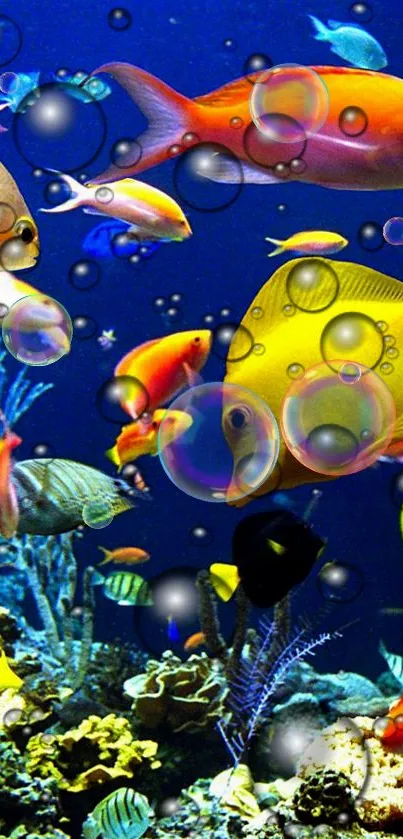 Vibrant underwater wallpaper with colorful fish and bubbles.