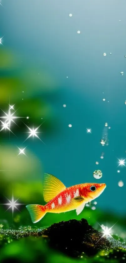 Vibrant fish in an underwater scene with bubbles and greenery.