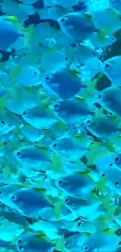 Colorful fish swarm in vibrant blue underwater scene.