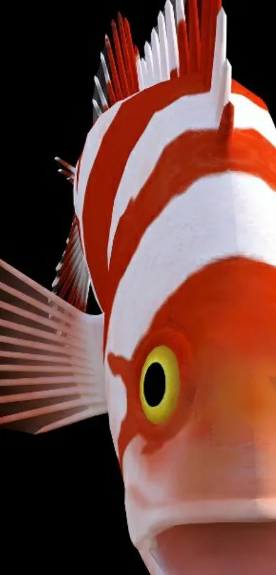 Colorful fish with red and white patterns on black background.