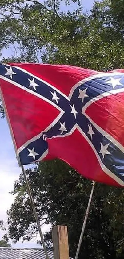 A vibrant red and blue flag waving against a clear blue sky and green trees.