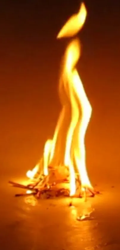Bright orange flame flickering against a dark background, ideal for mobile wallpaper.