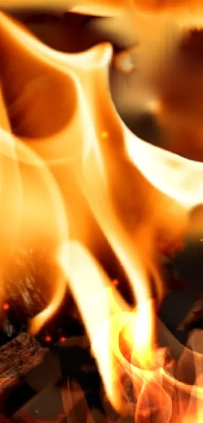 Dynamic fiery wallpaper with vibrant flames and warm tones.