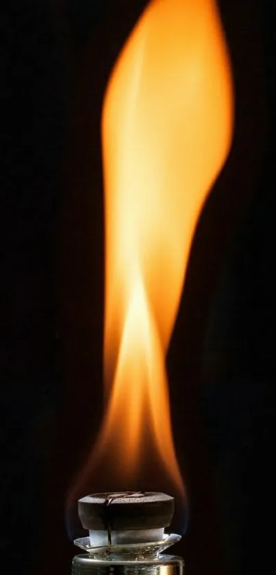 A vibrant orange flame on a dark background.