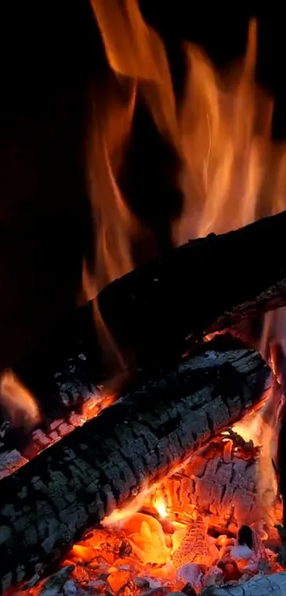 Vibrant flames and glowing embers on burning logs wallpaper.