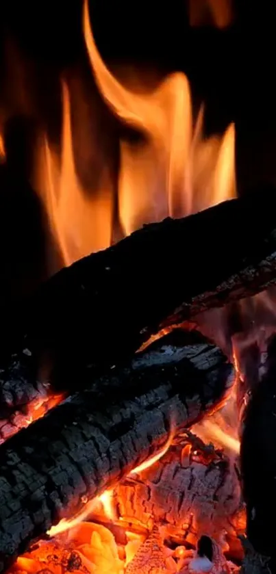 Burning logs with vibrant flames on a dark background.