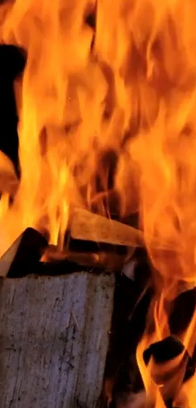 Vibrant orange flames with burning logs on a dark background.