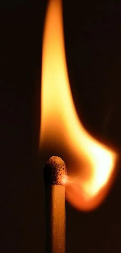 Vividly burning matchstick against black backdrop, vibrant orange flame.