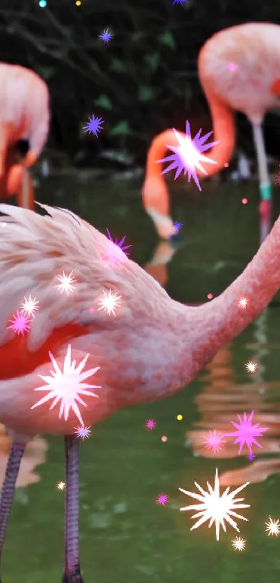 A flock of pink flamingos wading in a serene pond, surrounded by lush greenery.