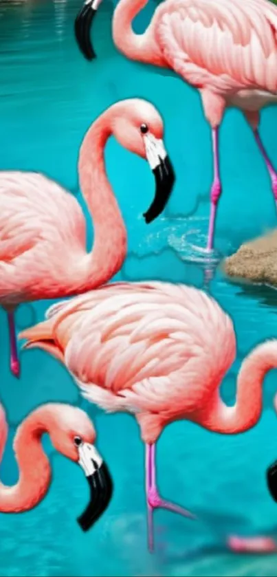 Flamingos by vibrant blue water with lush, detailed feathers in a calming scene.