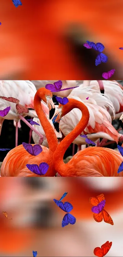 Vibrant orange flamingos with colorful butterflies.