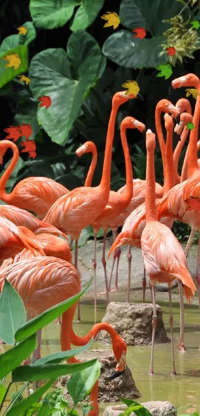 A vibrant group of pink flamingos in lush green surroundings.