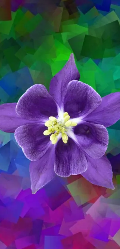 Purple flower on colorful geometric background wallpaper.