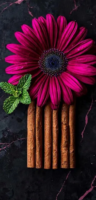Pink daisy and cinnamon sticks on black background.