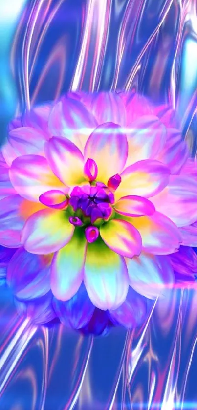 Vibrant multicolored flower on abstract blue background.