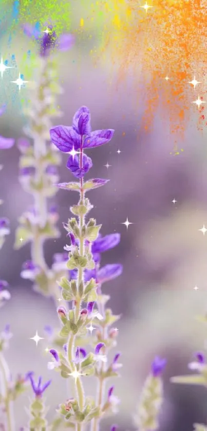 Vibrant purple flowers with a colorful abstract background.