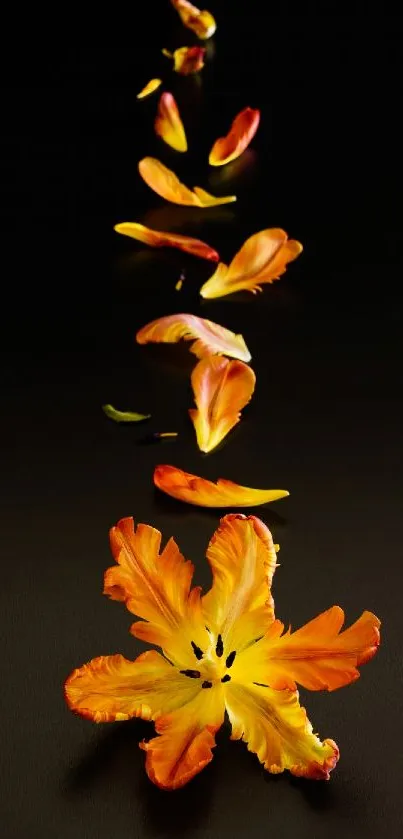 Vibrant orange flower petals on a dark background.