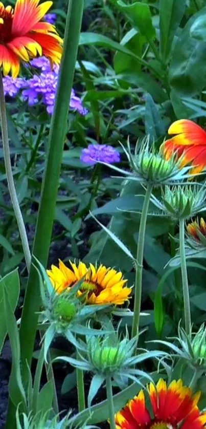 Vibrant flowers in a lush green garden setting mobile wallpaper.