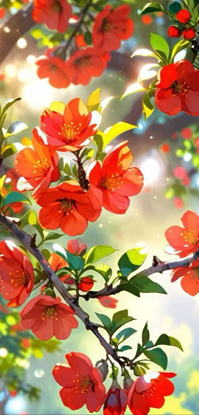 Vibrant red blossoms with lush green leaves in sunlight.