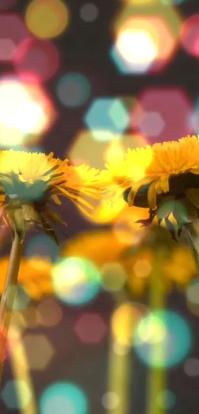 Vibrant dandelions with colorful bokeh background.