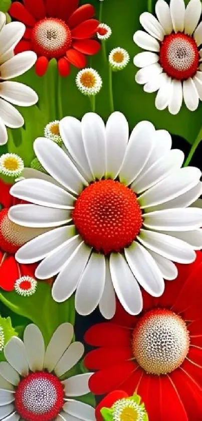 Vibrant red and white daisy floral wallpaper with green background.