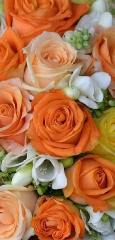 Vibrant bouquet of orange, peach, yellow roses and white flowers for wallpaper.