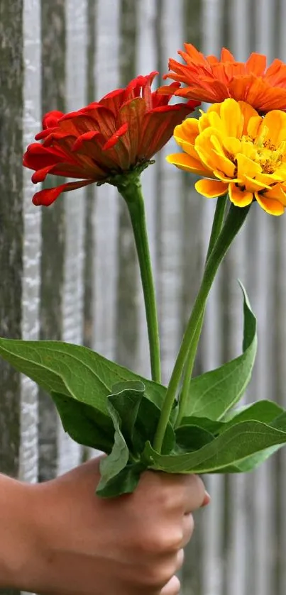 Hand holding a vibrant bouquet with red, orange, and yellow flowers.