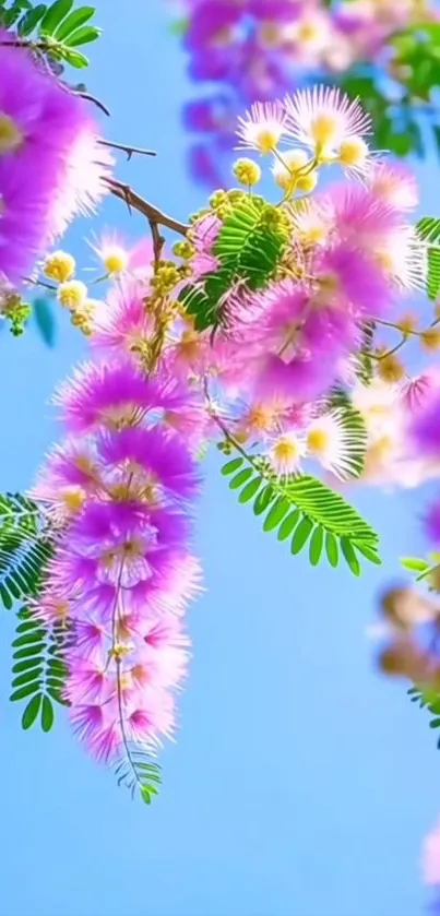 Floral branch with pink flowers and blue sky background.