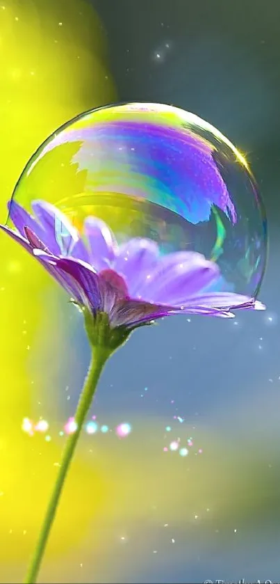 Flower with reflective bubble on blurred background.