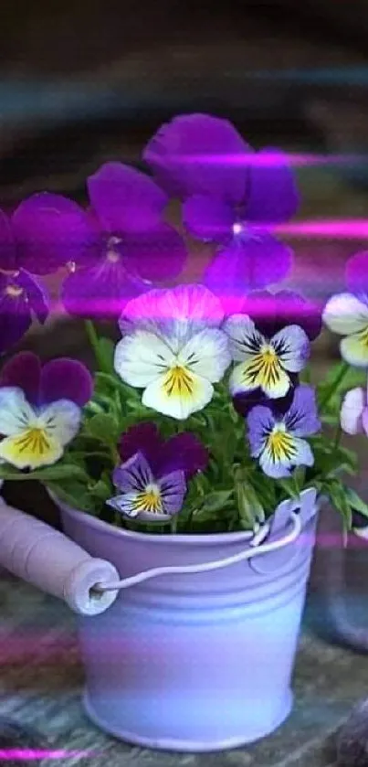 Purple and white flowers in a lavender bucket on a wooden background.