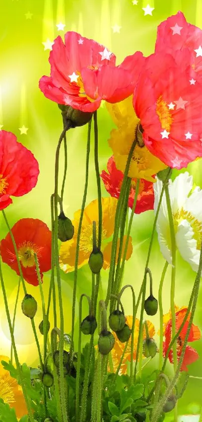 Vibrant poppy flowers against a green background with bright sunlight.