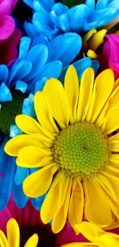 Vibrant yellow, blue, and pink daisies creating a cheerful mobile wallpaper.