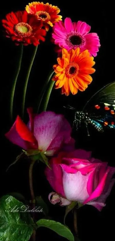 Vibrant flowers and butterfly on a black background.